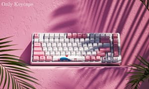 Keycap Akko đa dạng màu sắc và lựa chọn