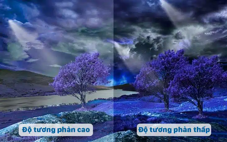 độ tương phản màn hình
