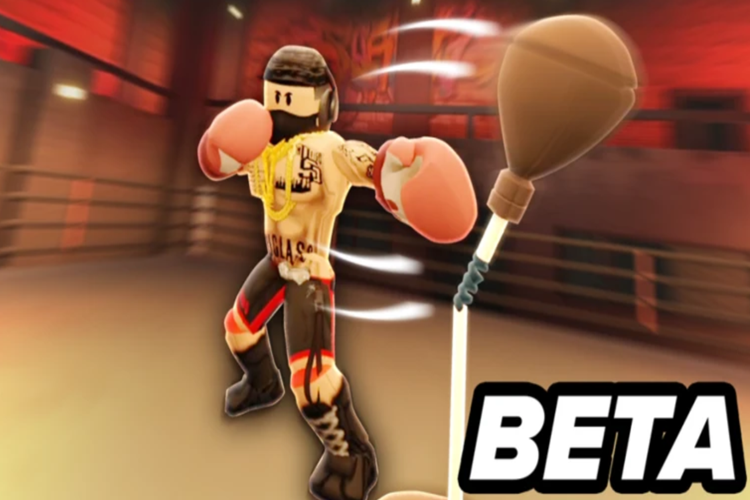 Code Boxing Beta