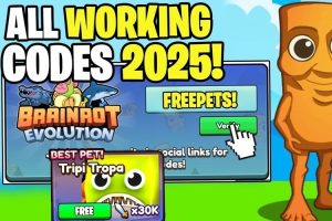 Code Brainrot Evolution