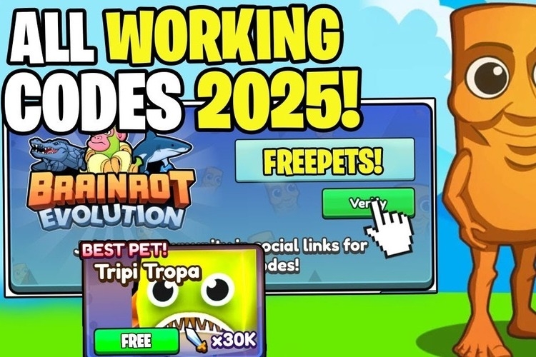 Code Brainrot Evolution